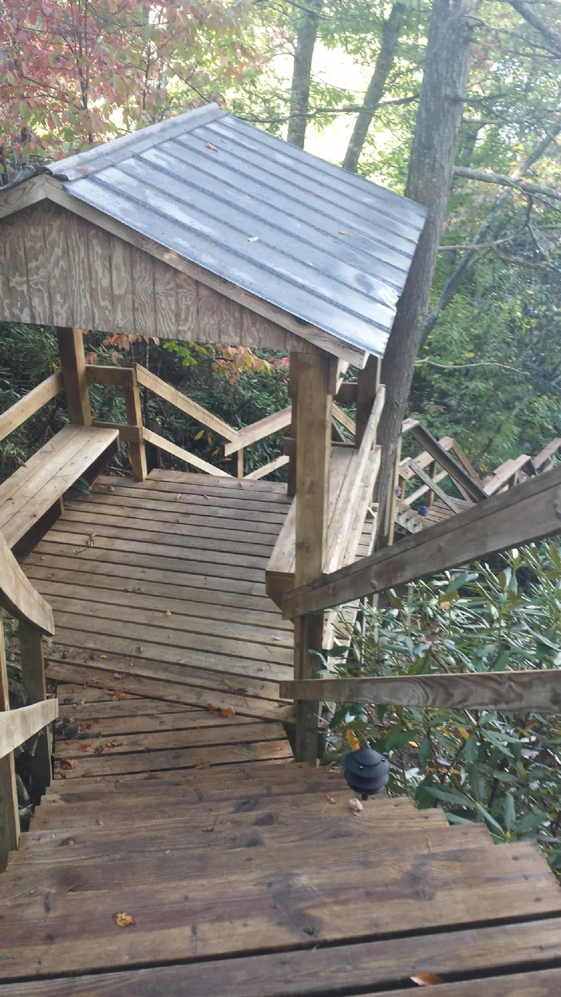 Metal roofed shelter over wooden steps on a wooded walkway — Skylight Repair & Installation work by our crew in Bowling Green